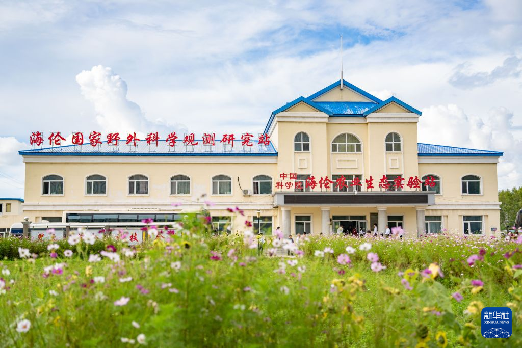 活力中国调研行丨黑龙江绥化:守护黑土 选育良种