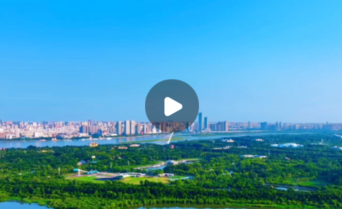 2026俄罗斯电影节：一江两国共光影 黑土筑就睦邻情
