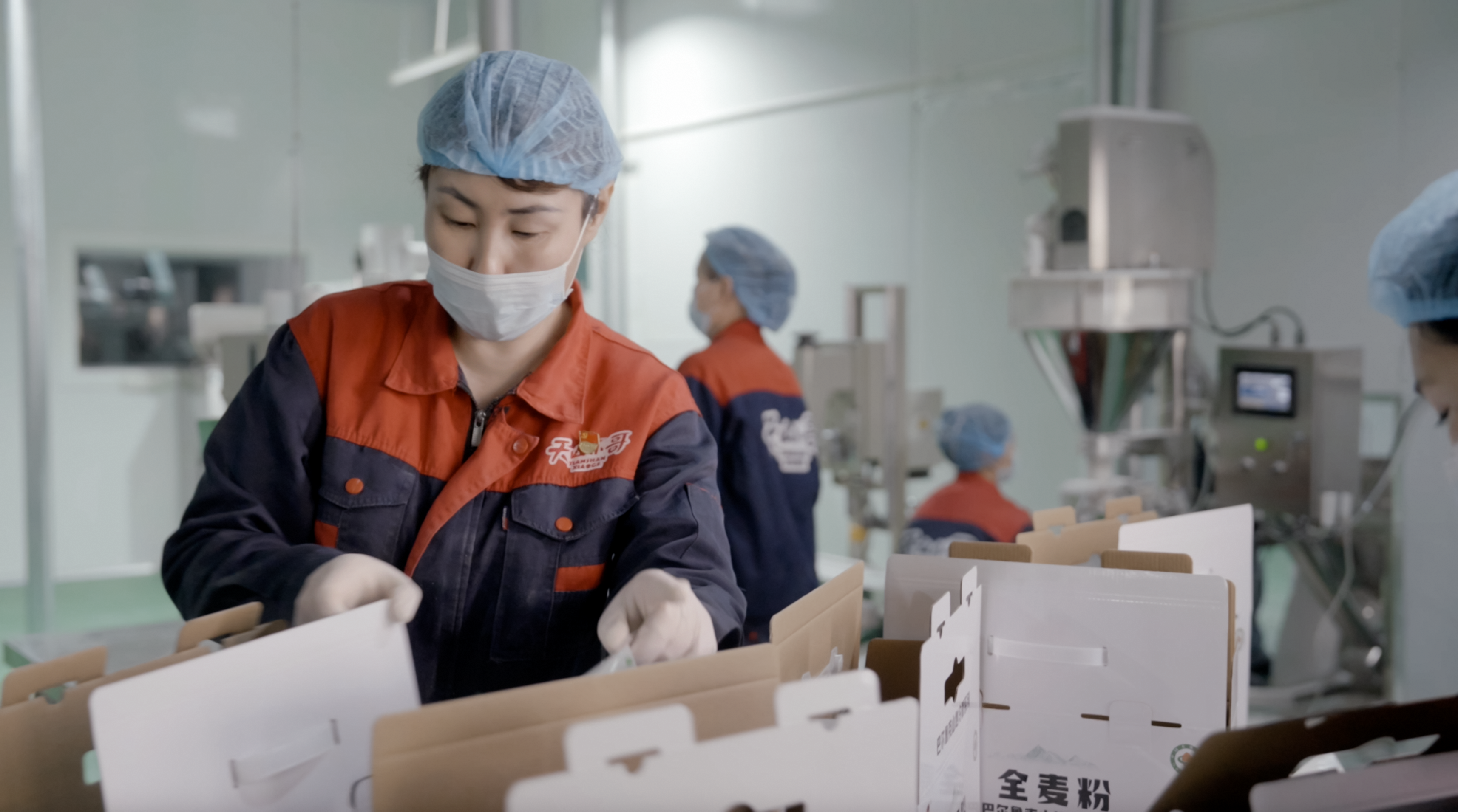 天山小哥:一粒鹰嘴豆背后的党建与烟火