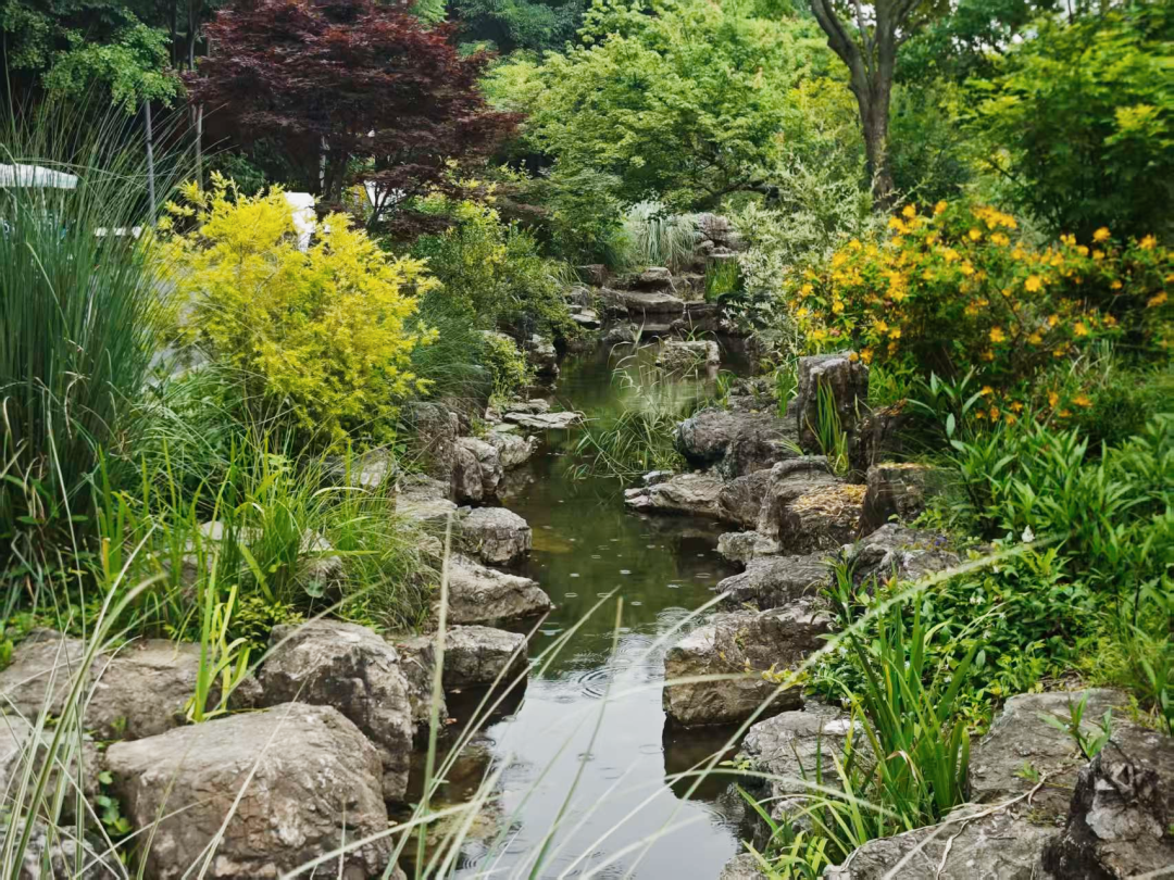 节气里的普陀:白露至,秋意浓,于城间邂逅清露与人间烟火 image.png