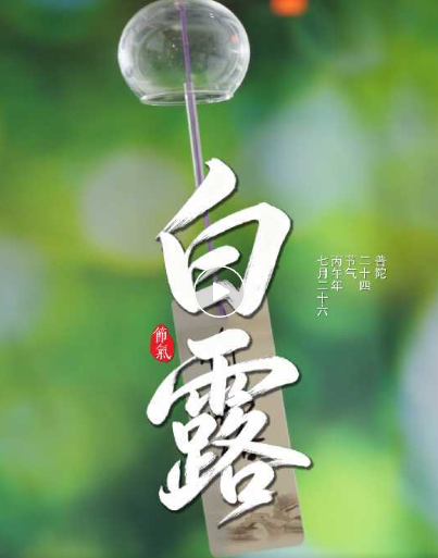 节气里的普陀：白露至，秋意浓，于城间邂逅清露与人间烟火