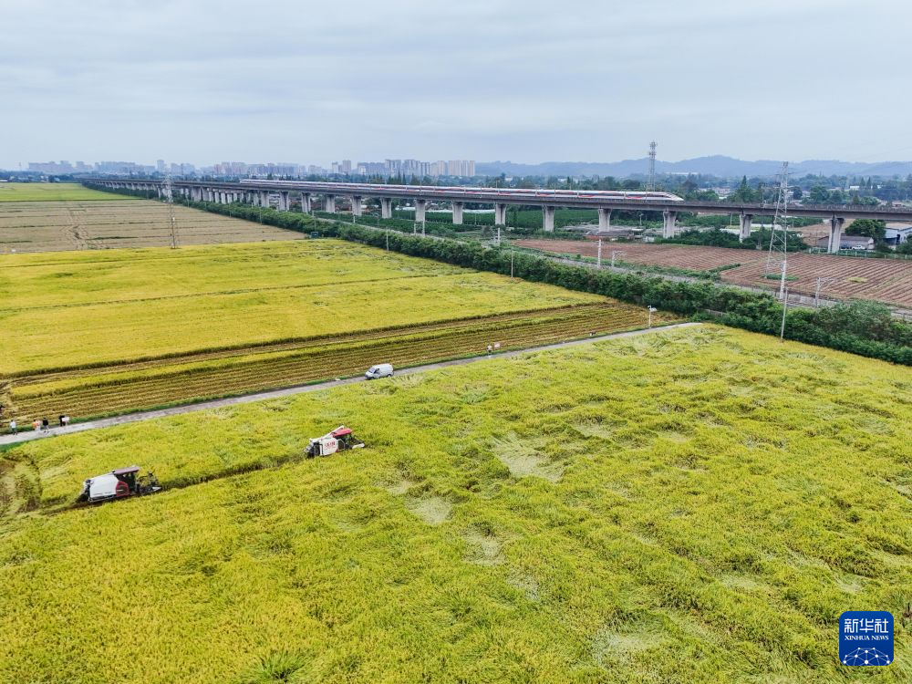 永丰村迎秋粮收获