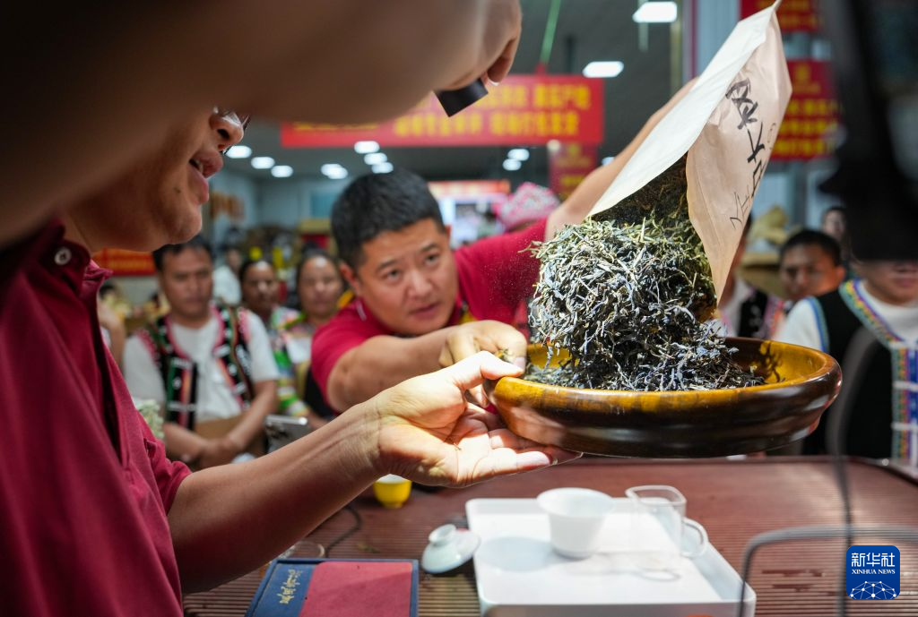 云南临沧:数字赋能茶产业
