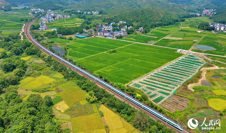 江西信丰:京九铁路列车驰骋 赣州市信丰县西牛镇黄泥村,复兴号CR200J3型动力集中动车组行驶在京九铁路线上。人民网记者 朱海鹏摄