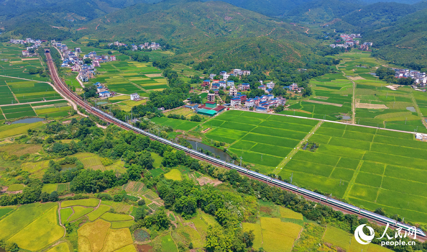 江西信丰:京九铁路列车驰骋 赣州市信丰县西牛镇黄泥村,复兴号CR200J3型动力集中动车组行驶在京九铁路线上。人民网记者 朱海鹏摄