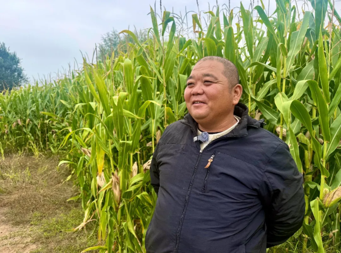 鄂托克旗:宽窄行种植模式助农牧民节水增收 鄂托克旗:宽窄行种植模式助农牧民节水增收