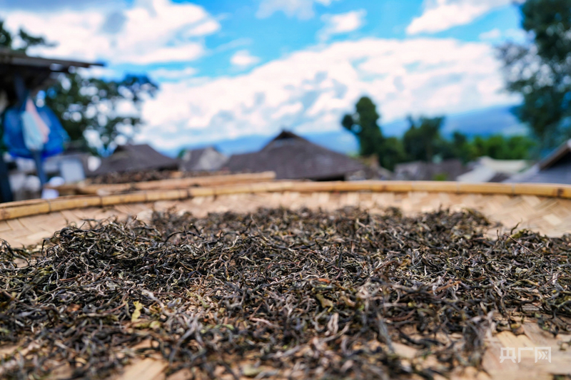 何以中国·千年茶道 | 从茶马古道到“一带一路” 云茶出海走出交流新路