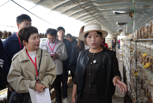 【山海有约,三十而砺】从“输血”到“造血” 山海协作铺就同心共富路 【山海有约,三十而砺】从“输血”到“造血” 山海协作铺就同心共富路
