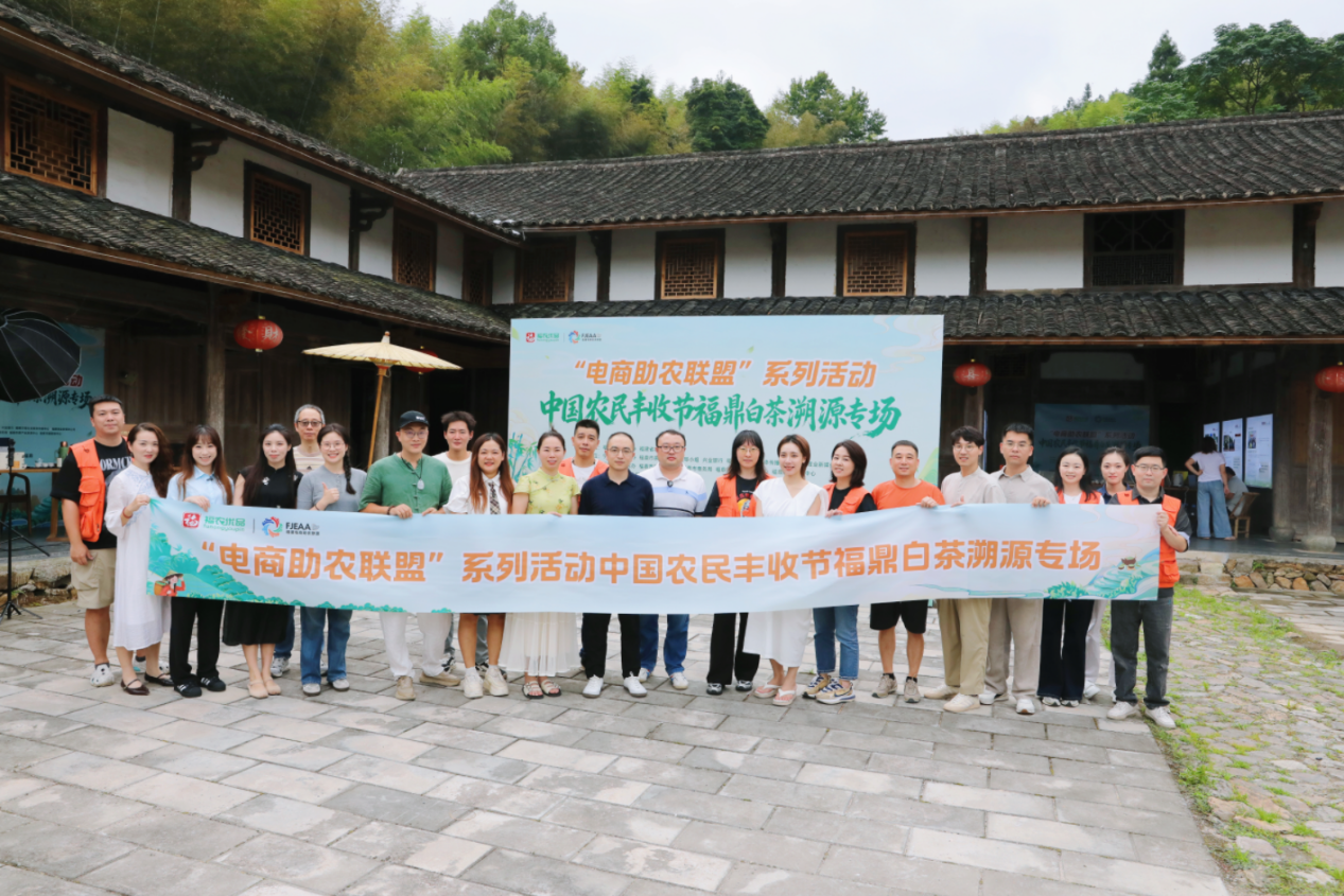 丰收节里探白茶：福建电商助农联盟走进福鼎溯源品质