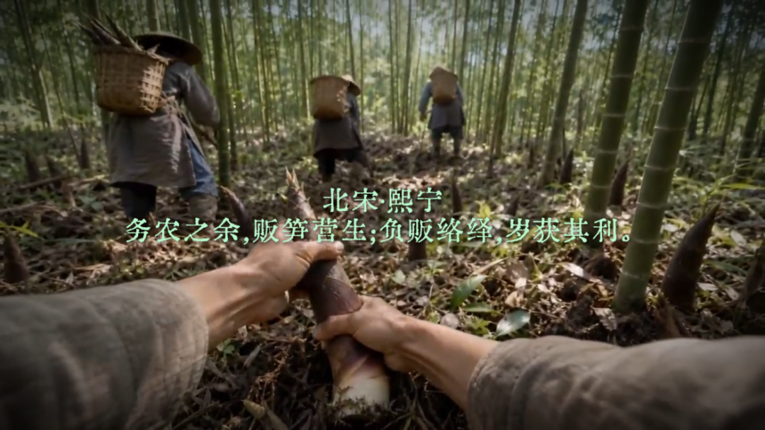 南川方竹笋.png