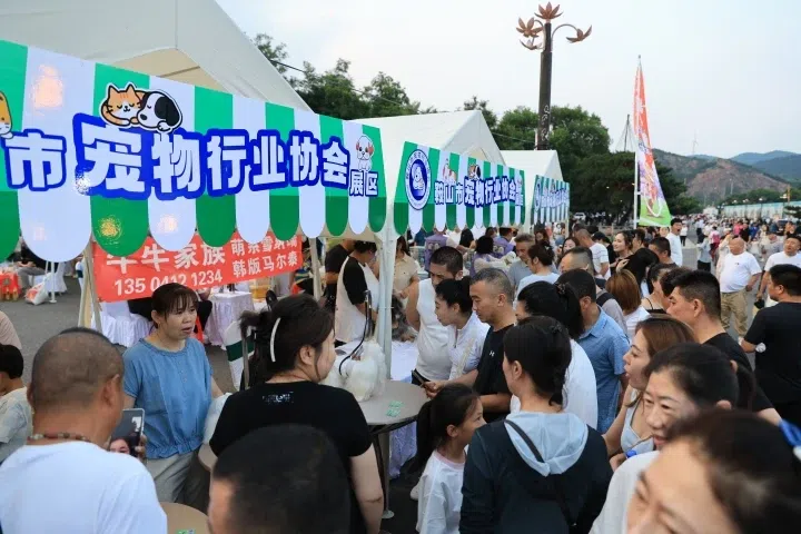 十亿曝光 百万奔赴!千山大舞台全网刷屏 钢都鞍山硬核出圈