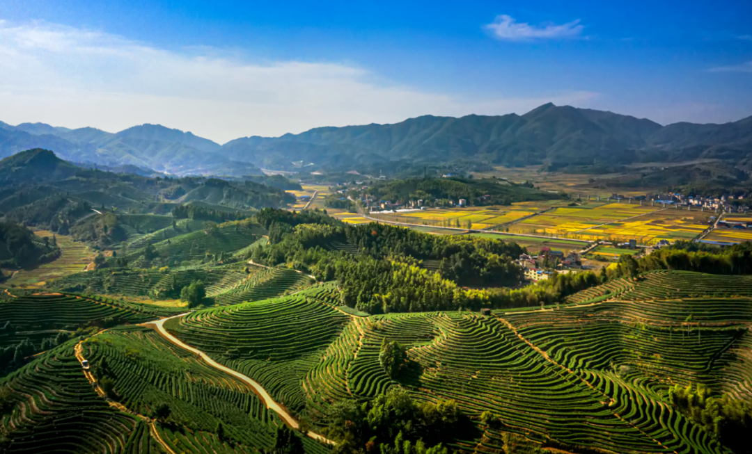 福建松溪：坚持系统治水保土 厚植绿色高质量发展底色