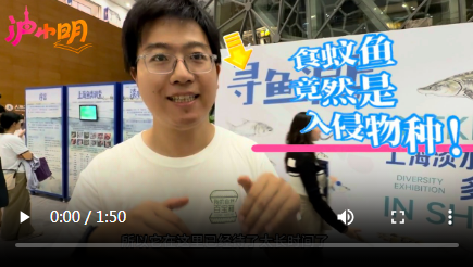 小明看展|自然博物馆寻鱼沪上展览 读懂沪上水下生灵密码