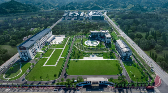 茶脉传承三百载 品牌深耕三十年——王文礼与八马茶业的中国茶振兴之路