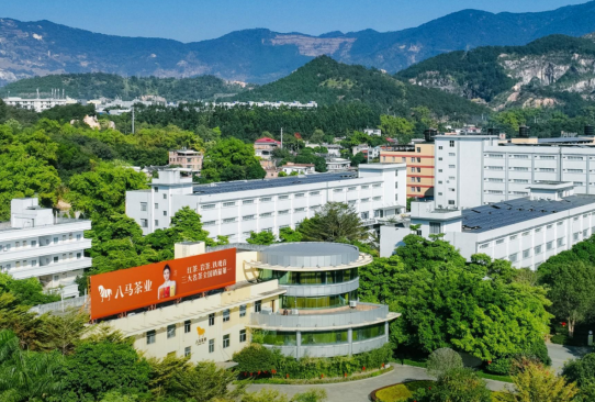 茶脉传承三百载 品牌深耕三十年——王文礼与八马茶业的中国茶振兴之路