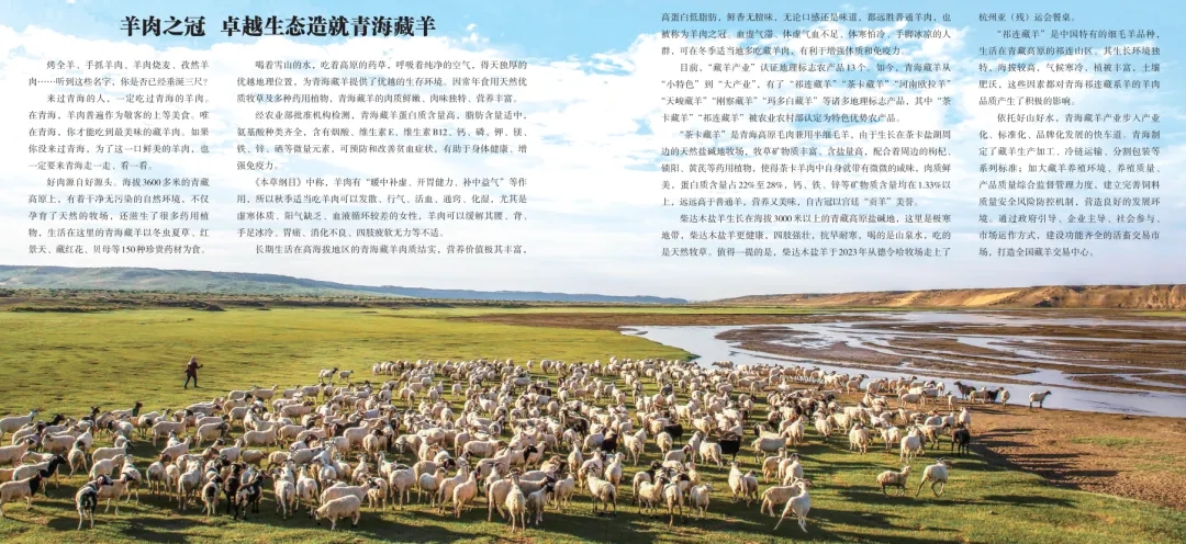 《青海省农牧业产业故事》发布：以文为脉赋能特色产业高质量发展