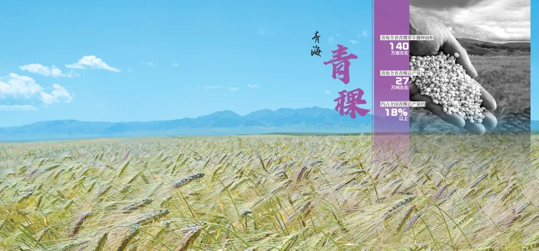 《青海省农牧业产业故事》发布：以文为脉赋能特色产业高质量发展