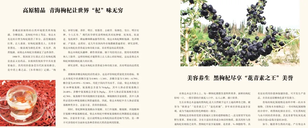 《青海省农牧业产业故事》发布：以文为脉赋能特色产业高质量发展